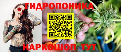 прущие грибы Апрелевка