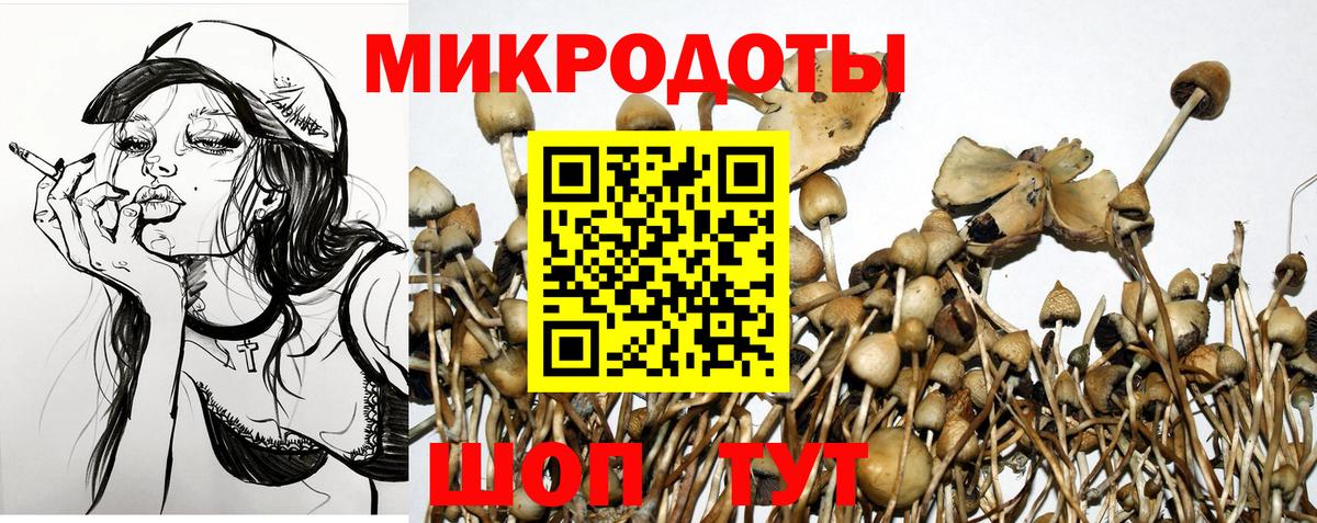 Галлюциногенные грибы прущие грибы Белебей