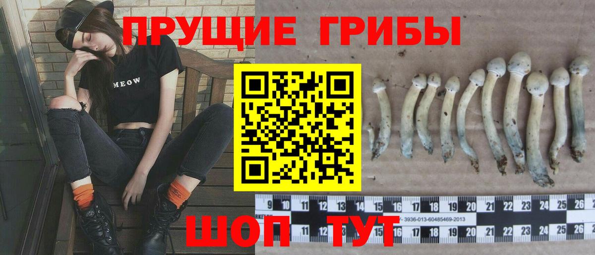 Белебей  Галлюциногенные грибы Psilocybe  Галлюциногенные грибы мицелий  Вход с VPN 